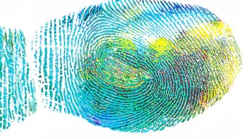 fingerprint-328992_960_720